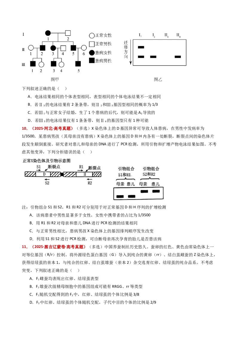 五年（2021-2025）全国高考生物真题分类汇编专题11伴性遗传和人类遗传病（全国通用）（原卷版）_高考真题分类汇编_高考生物真题分类汇编（全国通用）五年（2021-2025）