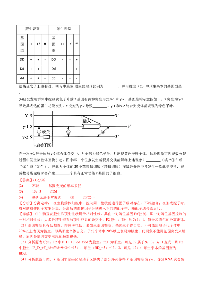 五年（2021-2025）全国高考生物真题分类汇编专题10基因的自由组合定律（全国通用）（解析版）_高考真题分类汇编_高考生物真题分类汇编（全国通用）五年（2021-2025）