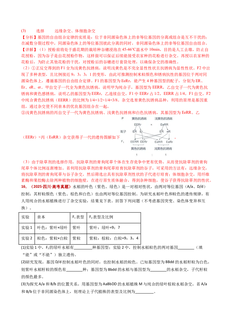 五年（2021-2025）全国高考生物真题分类汇编专题10基因的自由组合定律（全国通用）（解析版）_高考真题分类汇编_高考生物真题分类汇编（全国通用）五年（2021-2025）