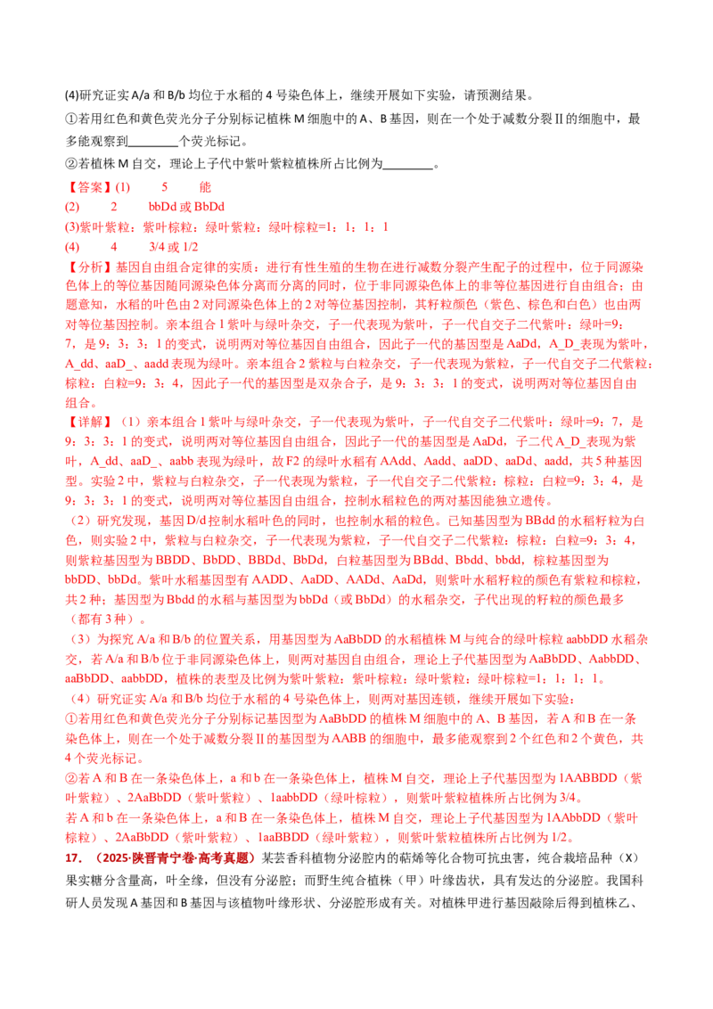五年（2021-2025）全国高考生物真题分类汇编专题10基因的自由组合定律（全国通用）（解析版）_高考真题分类汇编_高考生物真题分类汇编（全国通用）五年（2021-2025）