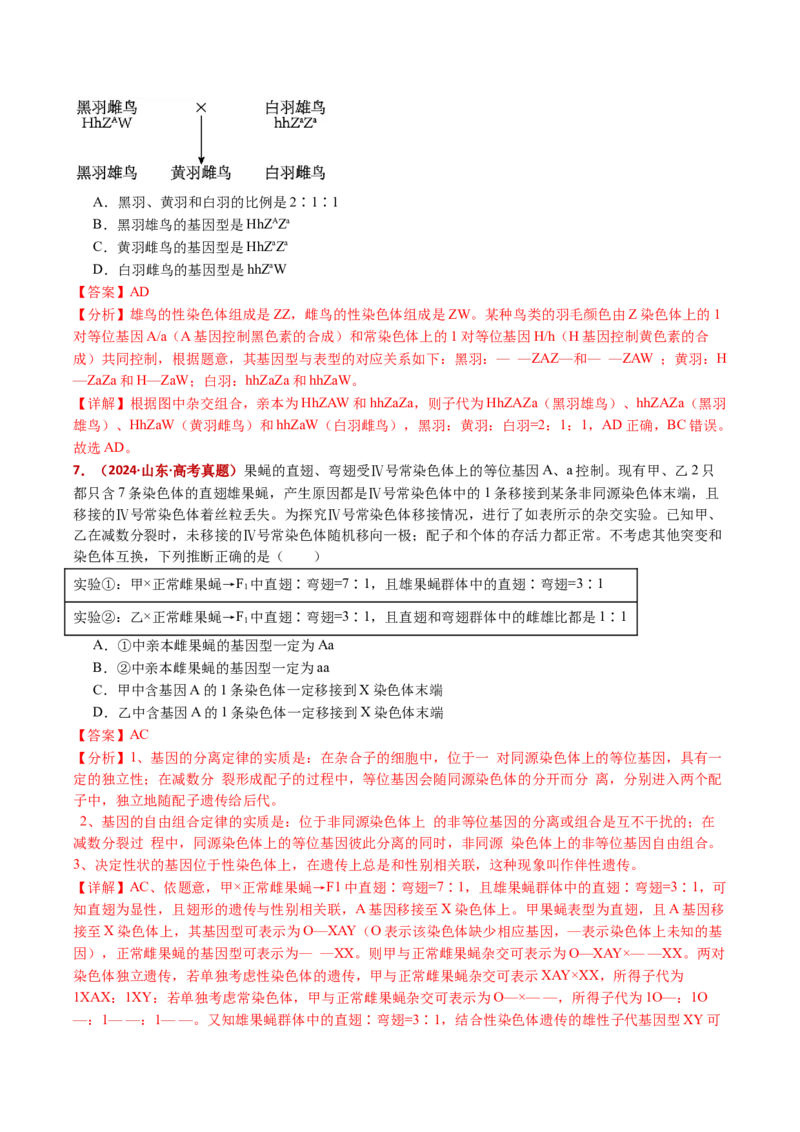 五年（2021-2025）全国高考生物真题分类汇编专题10基因的自由组合定律（全国通用）（解析版）_高考真题分类汇编_高考生物真题分类汇编（全国通用）五年（2021-2025）