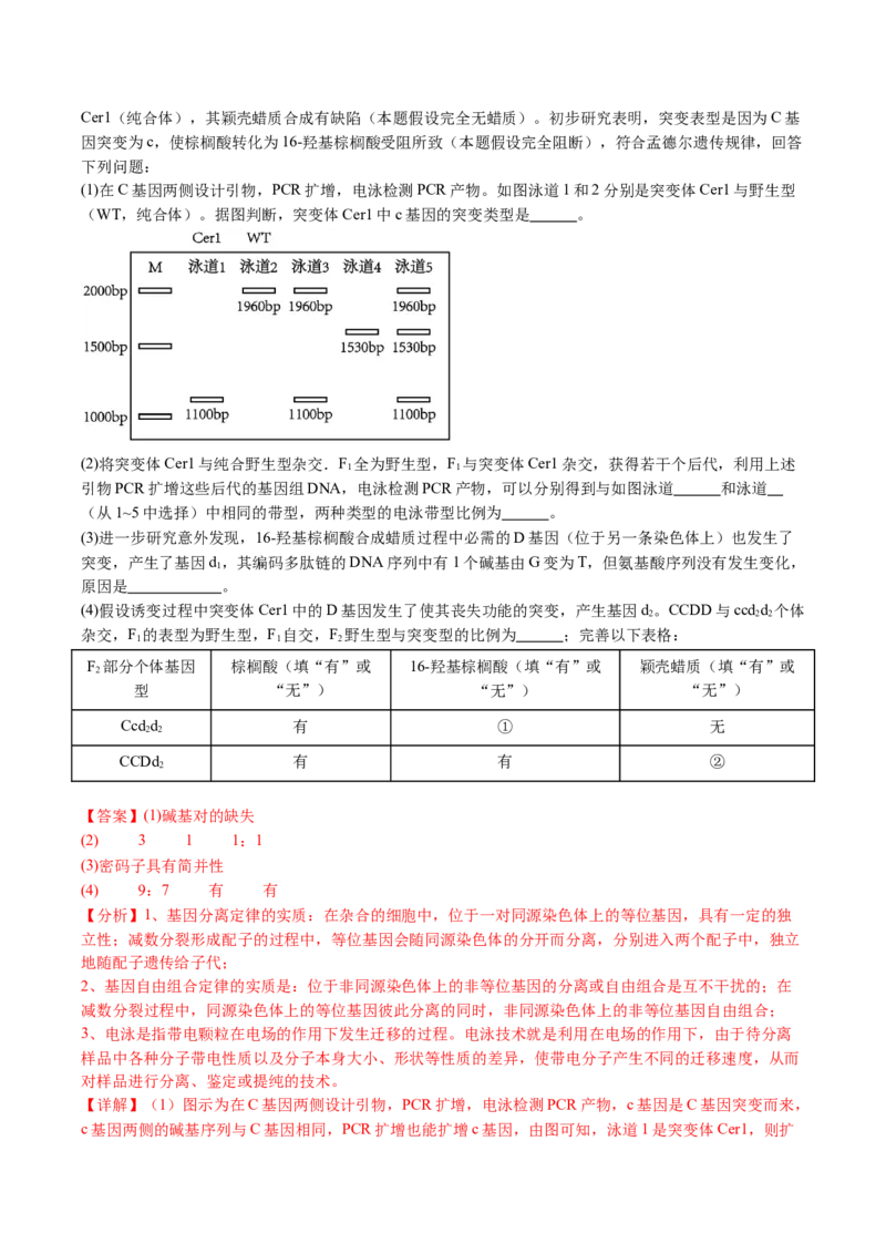 五年（2021-2025）全国高考生物真题分类汇编专题10基因的自由组合定律（全国通用）（解析版）_高考真题分类汇编_高考生物真题分类汇编（全国通用）五年（2021-2025）