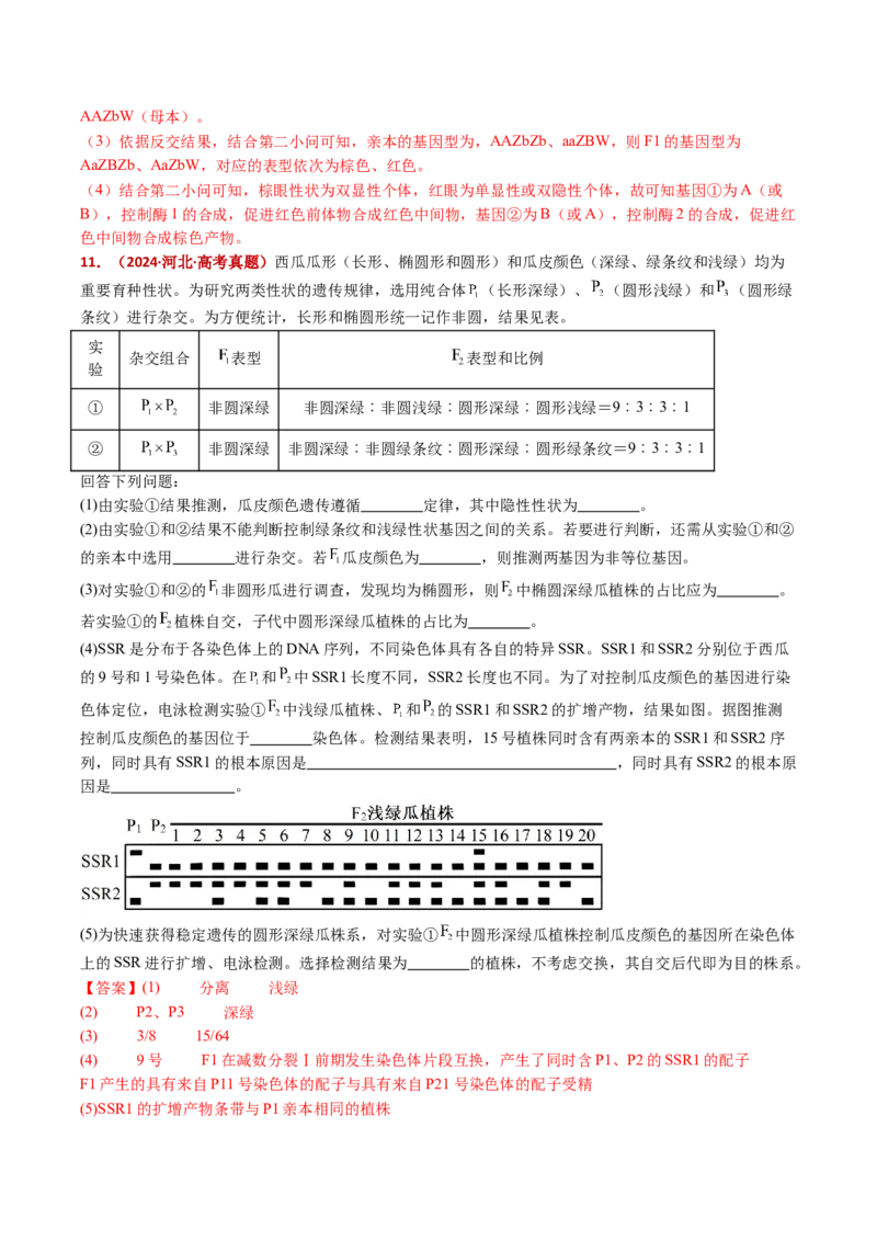 五年（2021-2025）全国高考生物真题分类汇编专题10基因的自由组合定律（全国通用）（解析版）_高考真题分类汇编_高考生物真题分类汇编（全国通用）五年（2021-2025）