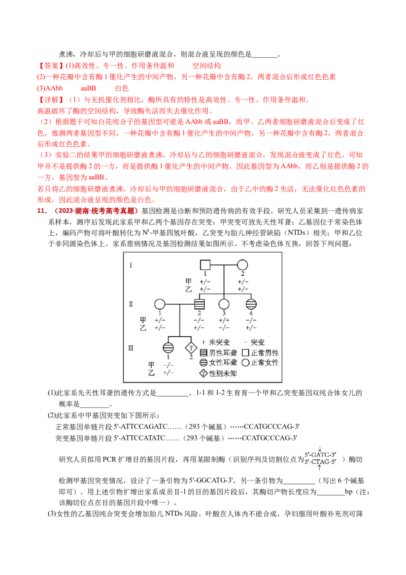 五年（2021-2025）全国高考生物真题分类汇编专题10基因的自由组合定律（全国通用）（解析版）_高考真题分类汇编_高考生物真题分类汇编（全国通用）五年（2021-2025）
