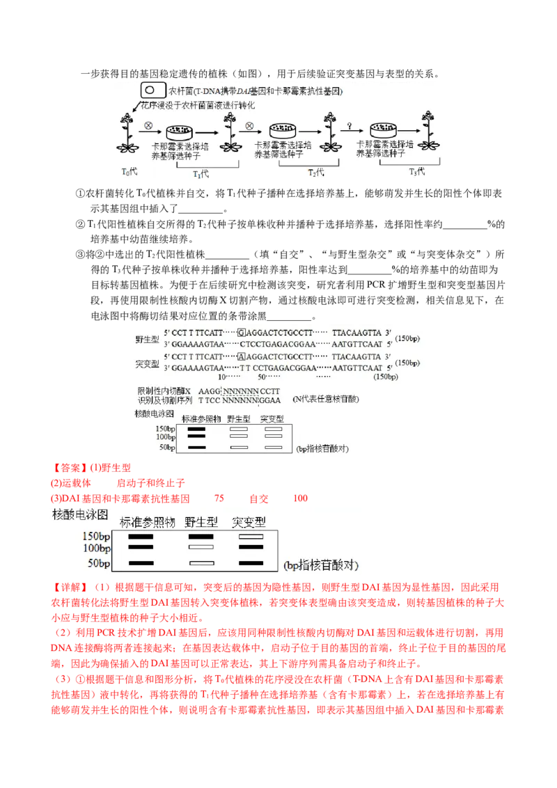 五年（2021-2025）全国高考生物真题分类汇编专题10基因的自由组合定律（全国通用）（解析版）_高考真题分类汇编_高考生物真题分类汇编（全国通用）五年（2021-2025）