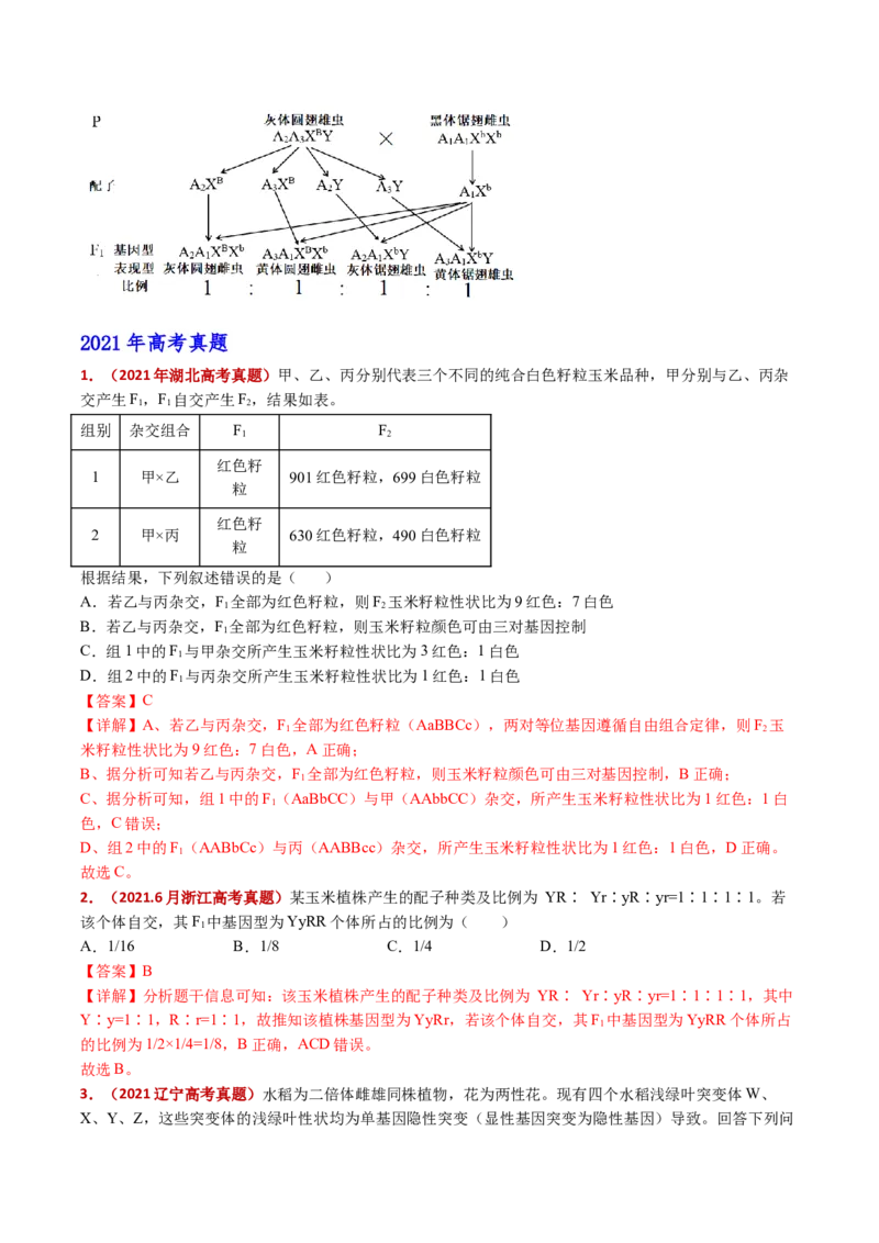 五年（2021-2025）全国高考生物真题分类汇编专题10基因的自由组合定律（全国通用）（解析版）_高考真题分类汇编_高考生物真题分类汇编（全国通用）五年（2021-2025）