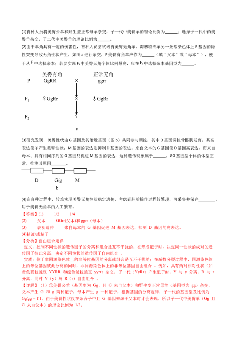五年（2021-2025）全国高考生物真题分类汇编专题10基因的自由组合定律（全国通用）（解析版）_高考真题分类汇编_高考生物真题分类汇编（全国通用）五年（2021-2025）