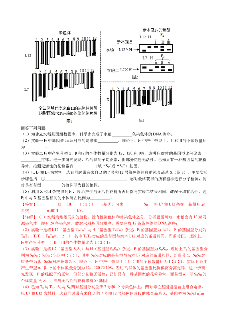 五年（2021-2025）全国高考生物真题分类汇编专题10基因的自由组合定律（全国通用）（解析版）_高考真题分类汇编_高考生物真题分类汇编（全国通用）五年（2021-2025）