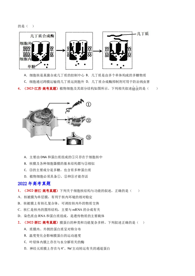 五年（2021-2025）全国高考生物真题分类汇编专题02细胞的结构与功能（全国通用）（原卷版）_高考真题分类汇编_高考生物真题分类汇编（全国通用）五年（2021-2025）