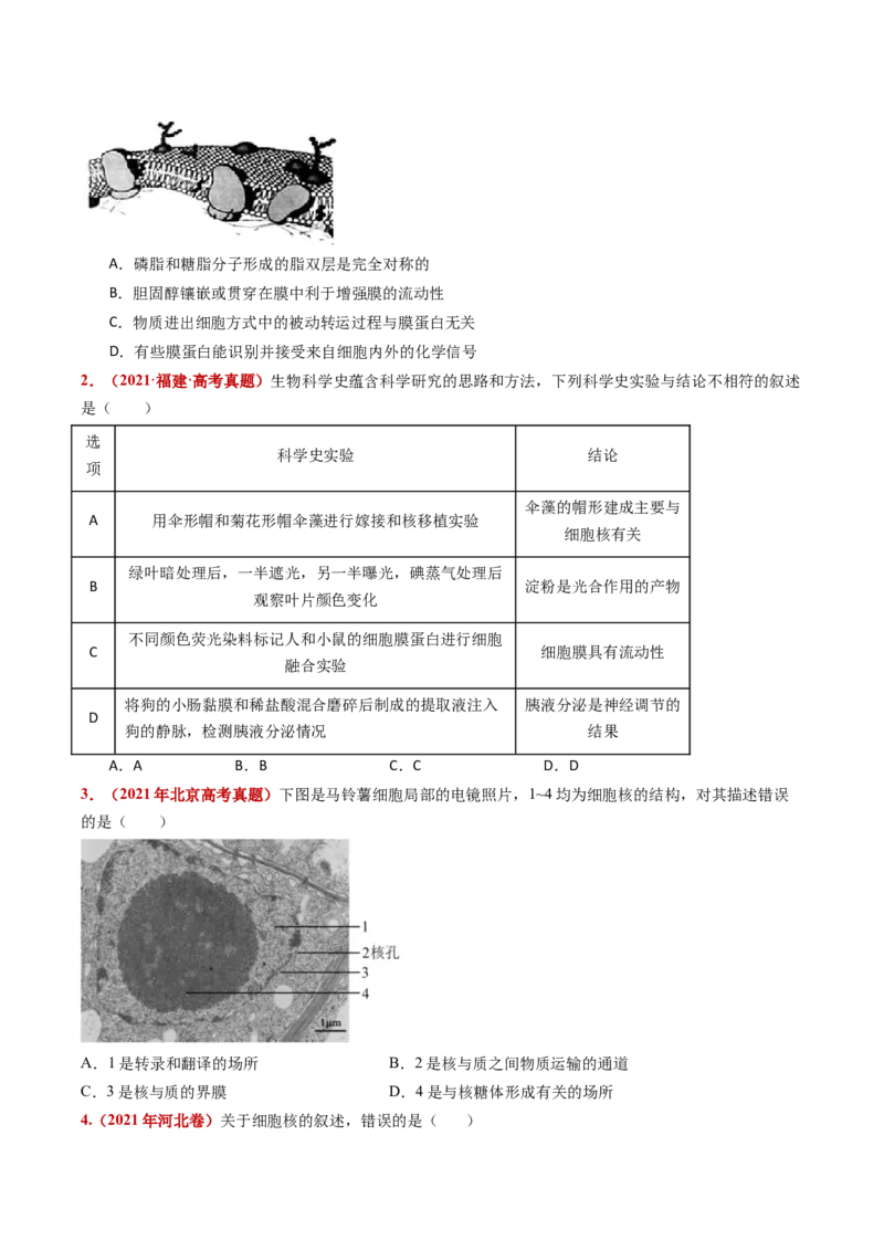 五年（2021-2025）全国高考生物真题分类汇编专题02细胞的结构与功能（全国通用）（原卷版）_高考真题分类汇编_高考生物真题分类汇编（全国通用）五年（2021-2025）