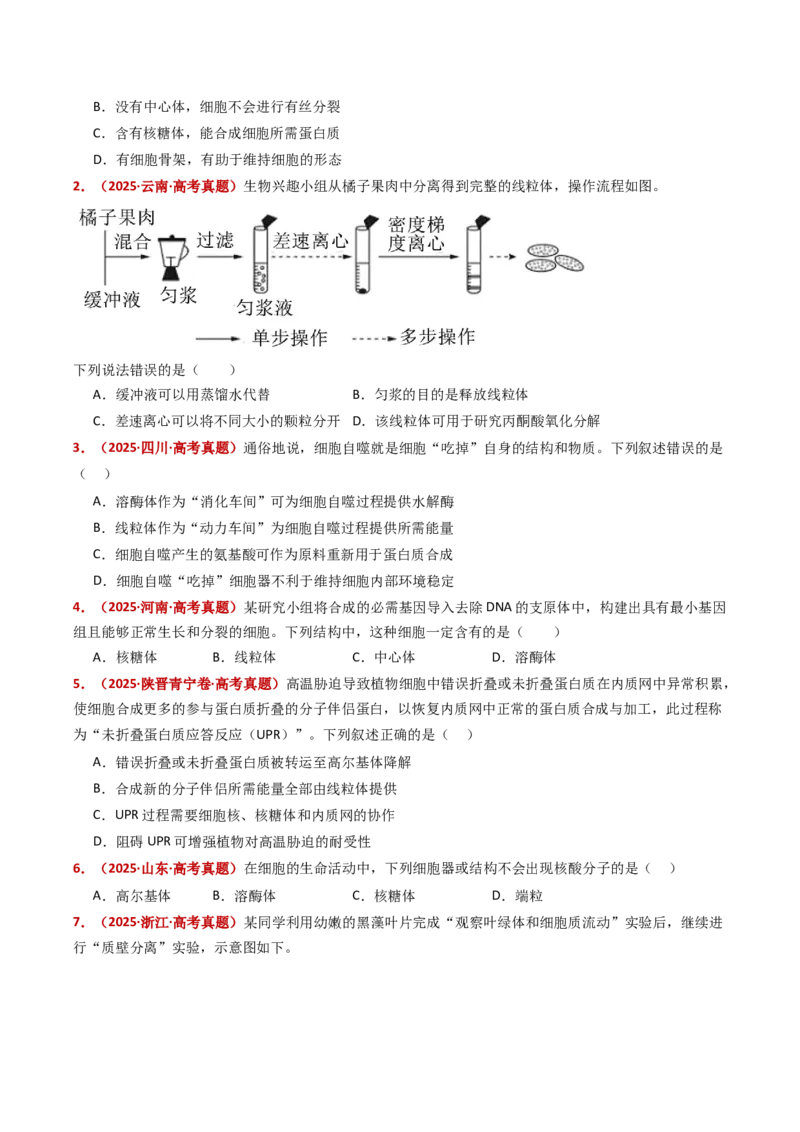 五年（2021-2025）全国高考生物真题分类汇编专题02细胞的结构与功能（全国通用）（原卷版）_高考真题分类汇编_高考生物真题分类汇编（全国通用）五年（2021-2025）