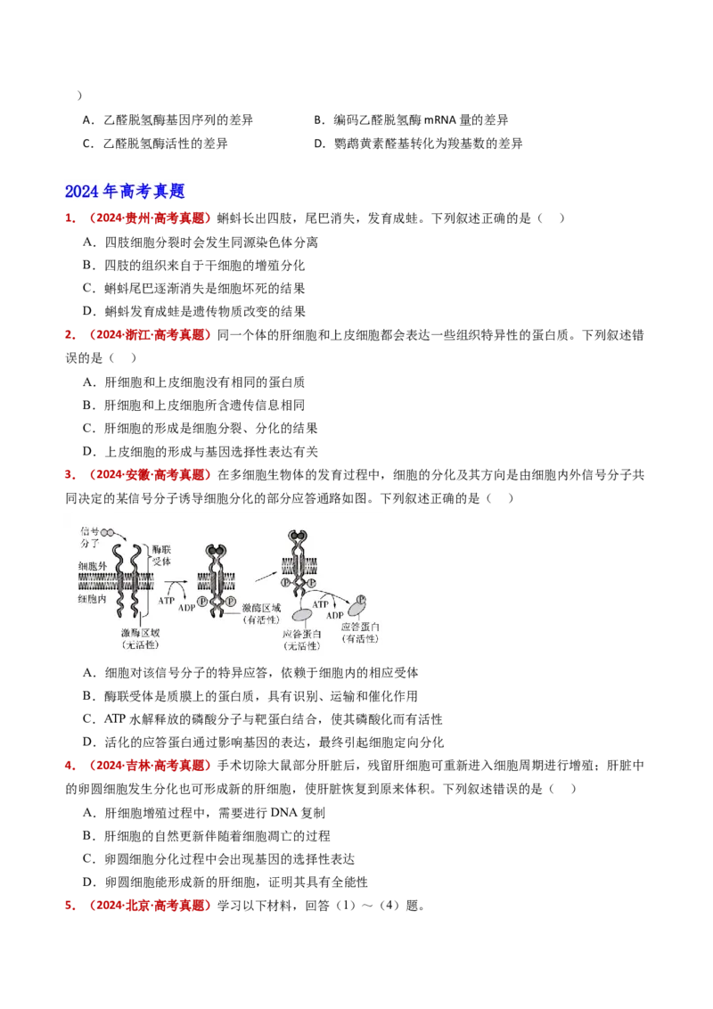 五年（2021-2025）全国高考生物真题分类汇编专题07细胞的分化、衰老、死亡及癌变（全国通用）（原卷版）_高考真题分类汇编_高考生物真题分类汇编（全国通用）五年（2021-2025）
