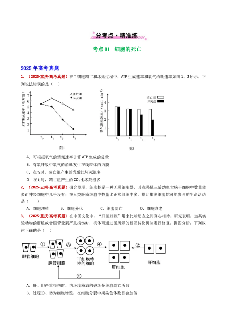 五年（2021-2025）全国高考生物真题分类汇编专题07细胞的分化、衰老、死亡及癌变（全国通用）（原卷版）_高考真题分类汇编_高考生物真题分类汇编（全国通用）五年（2021-2025）