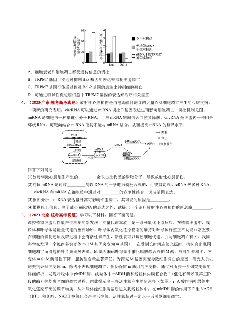 五年（2021-2025）全国高考生物真题分类汇编专题07细胞的分化、衰老、死亡及癌变（全国通用）（原卷版）_高考真题分类汇编_高考生物真题分类汇编（全国通用）五年（2021-2025）