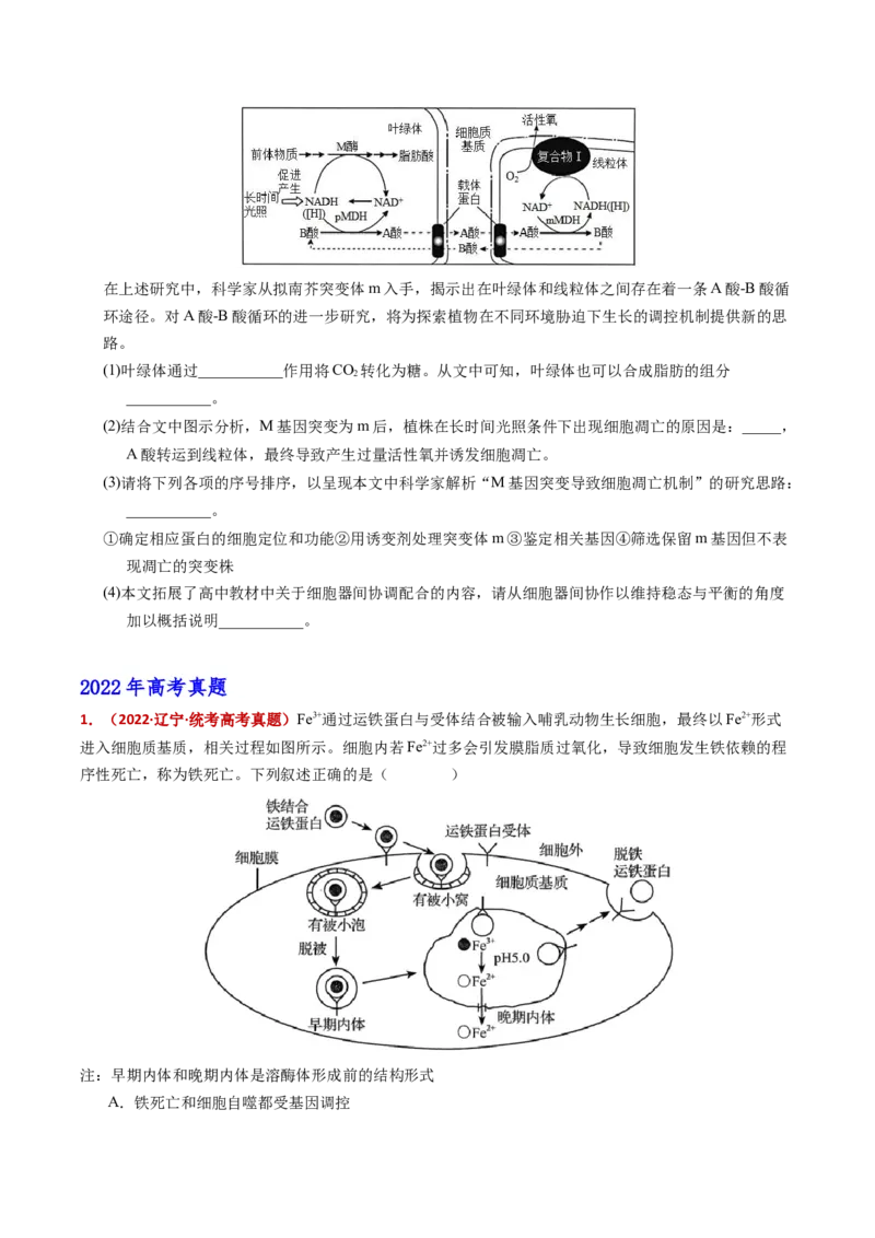 五年（2021-2025）全国高考生物真题分类汇编专题07细胞的分化、衰老、死亡及癌变（全国通用）（原卷版）_高考真题分类汇编_高考生物真题分类汇编（全国通用）五年（2021-2025）