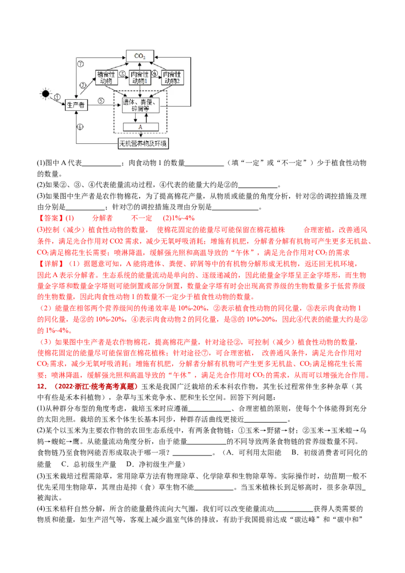 五年（2021-2025）全国高考生物真题分类汇编专题19生态系统（全国通用）（解析版）_高考真题分类汇编_高考生物真题分类汇编（全国通用）五年（2021-2025）