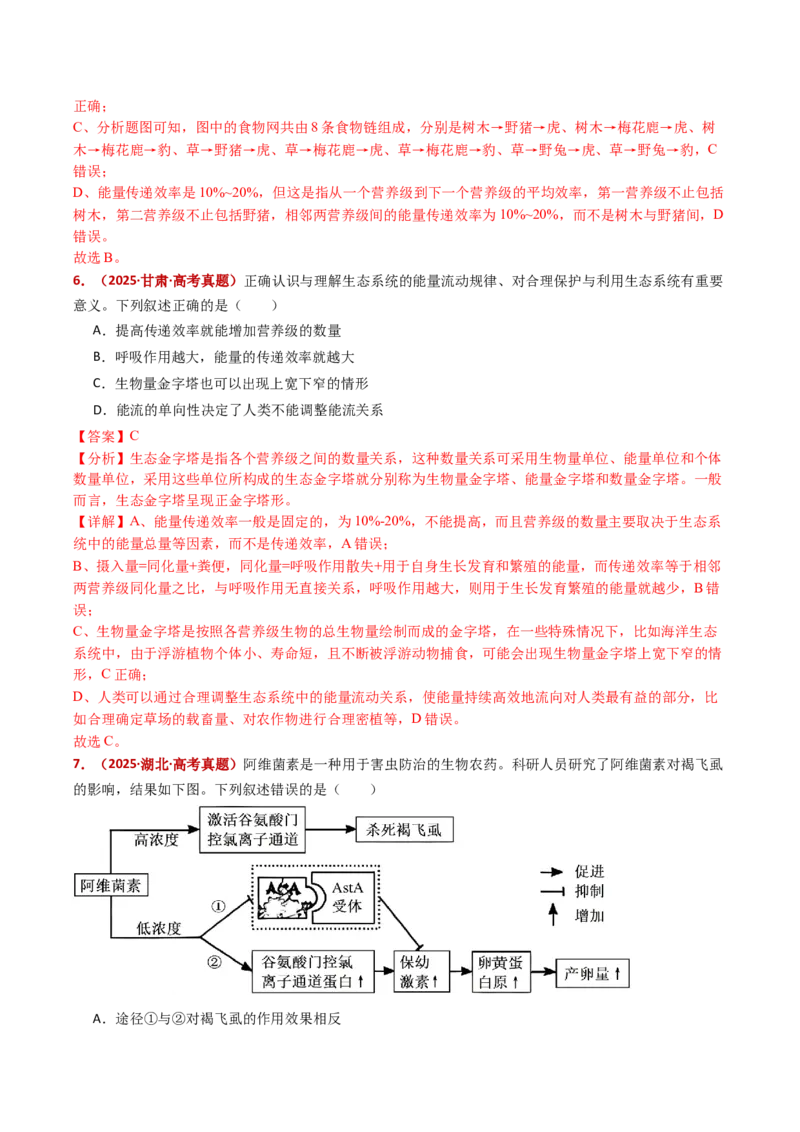 五年（2021-2025）全国高考生物真题分类汇编专题19生态系统（全国通用）（解析版）_高考真题分类汇编_高考生物真题分类汇编（全国通用）五年（2021-2025）