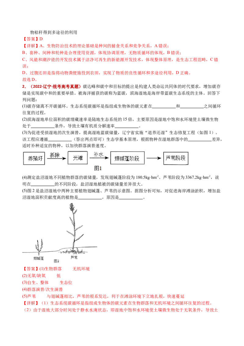 五年（2021-2025）全国高考生物真题分类汇编专题19生态系统（全国通用）（解析版）_高考真题分类汇编_高考生物真题分类汇编（全国通用）五年（2021-2025）