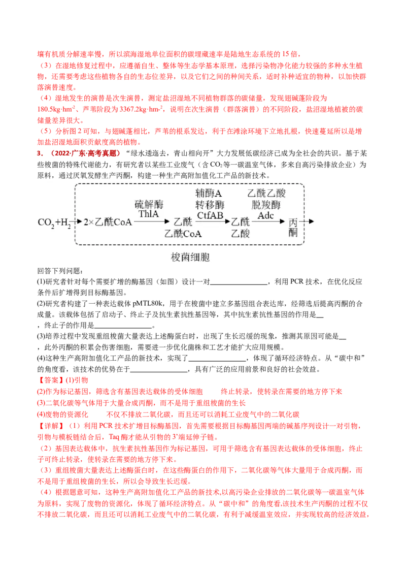 五年（2021-2025）全国高考生物真题分类汇编专题19生态系统（全国通用）（解析版）_高考真题分类汇编_高考生物真题分类汇编（全国通用）五年（2021-2025）