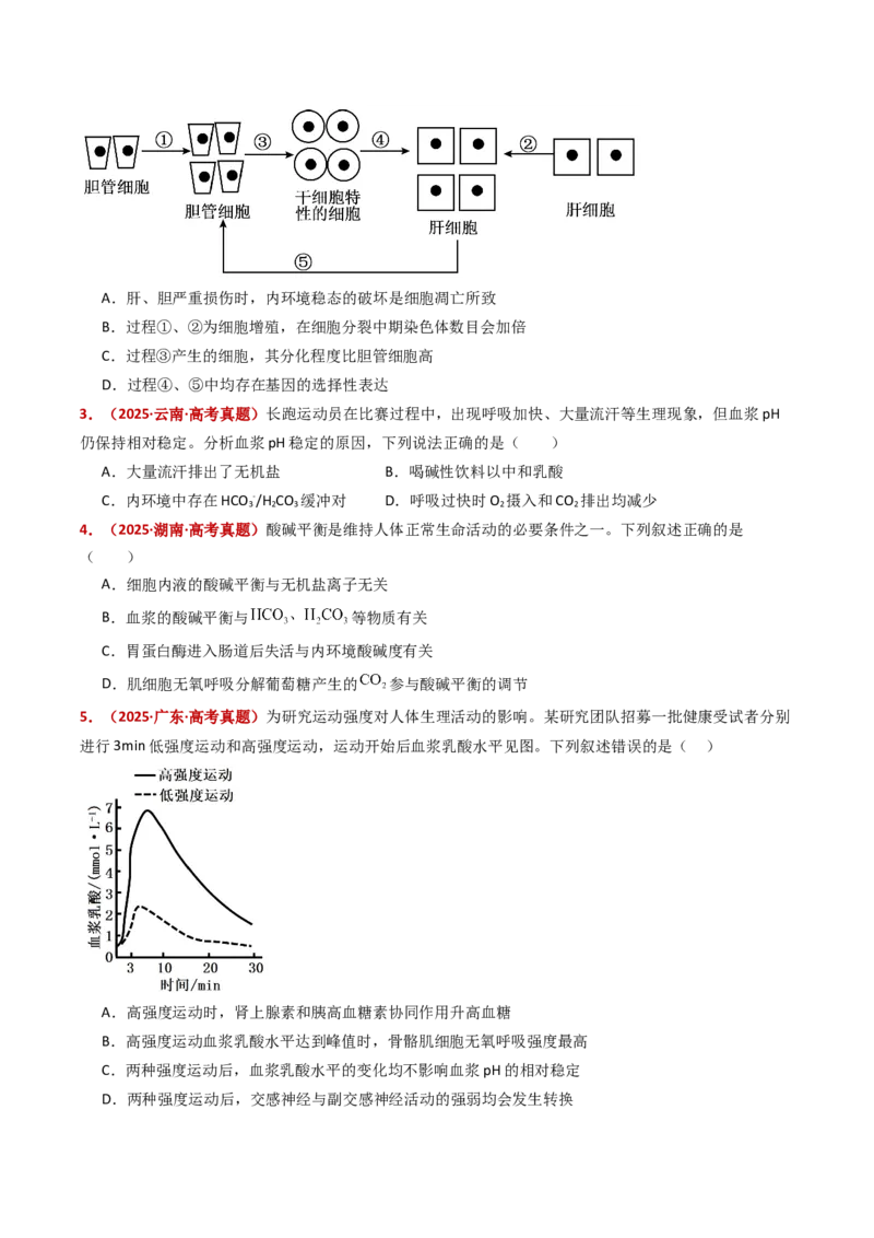 五年（2021-2025）全国高考生物真题分类汇编专题13内环境及其稳态（全国通用）（原卷版）_高考真题分类汇编_高考生物真题分类汇编（全国通用）五年（2021-2025）