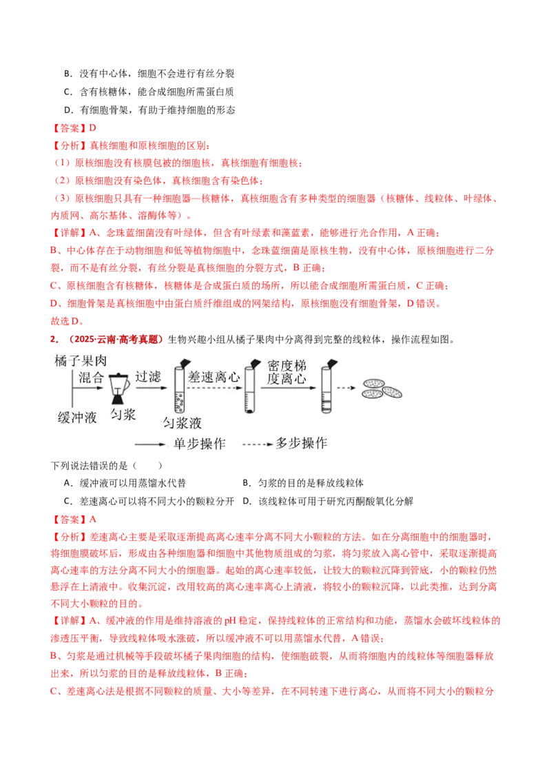 五年（2021-2025）全国高考生物真题分类汇编专题02细胞的结构与功能（全国通用）（解析版）_高考真题分类汇编_高考生物真题分类汇编（全国通用）五年（2021-2025）