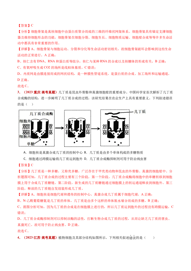 五年（2021-2025）全国高考生物真题分类汇编专题02细胞的结构与功能（全国通用）（解析版）_高考真题分类汇编_高考生物真题分类汇编（全国通用）五年（2021-2025）