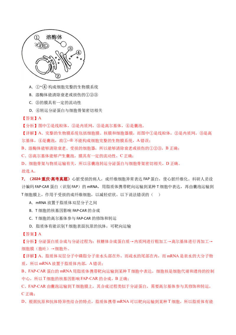 五年（2021-2025）全国高考生物真题分类汇编专题02细胞的结构与功能（全国通用）（解析版）_高考真题分类汇编_高考生物真题分类汇编（全国通用）五年（2021-2025）