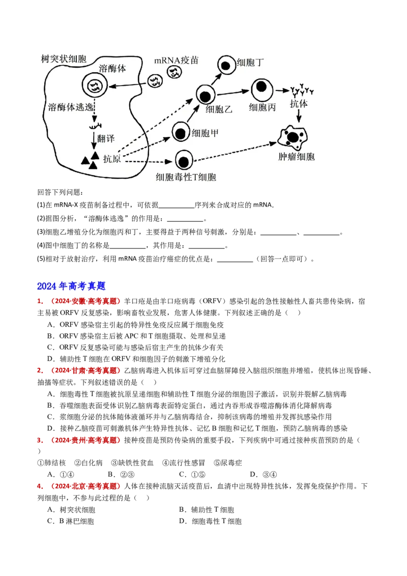 五年（2021-2025）全国高考生物真题分类汇编专题16免疫调节（全国通用）（原卷版）_高考真题分类汇编_高考生物真题分类汇编（全国通用）五年（2021-2025）