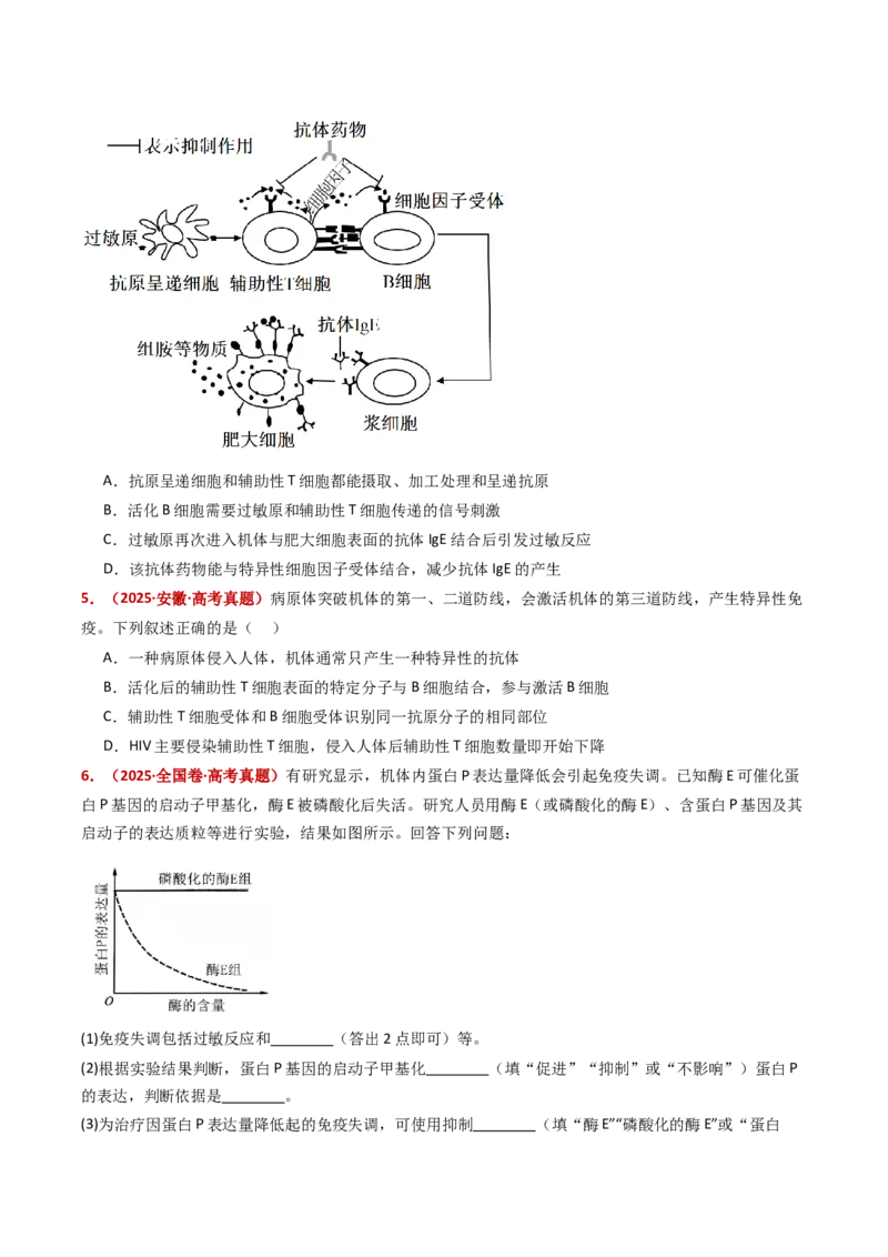 五年（2021-2025）全国高考生物真题分类汇编专题16免疫调节（全国通用）（原卷版）_高考真题分类汇编_高考生物真题分类汇编（全国通用）五年（2021-2025）