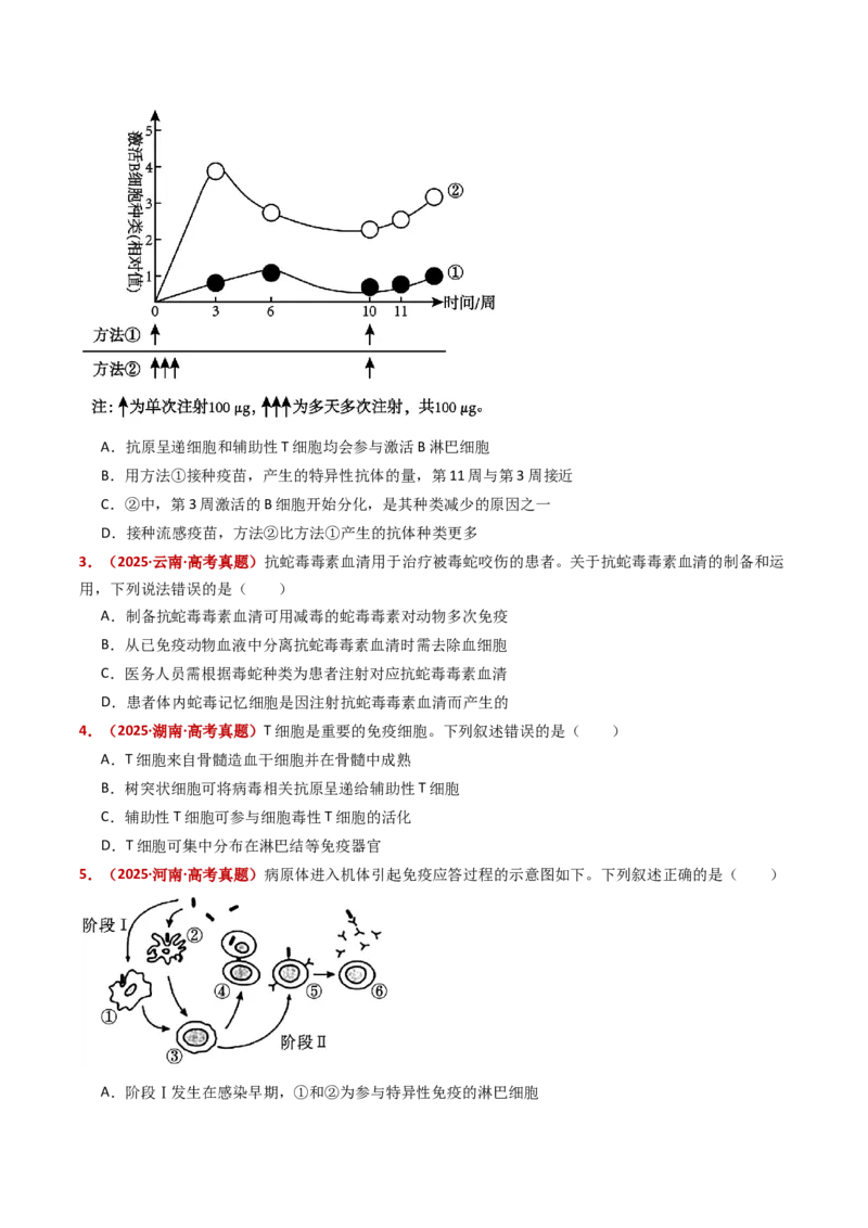 五年（2021-2025）全国高考生物真题分类汇编专题16免疫调节（全国通用）（原卷版）_高考真题分类汇编_高考生物真题分类汇编（全国通用）五年（2021-2025）