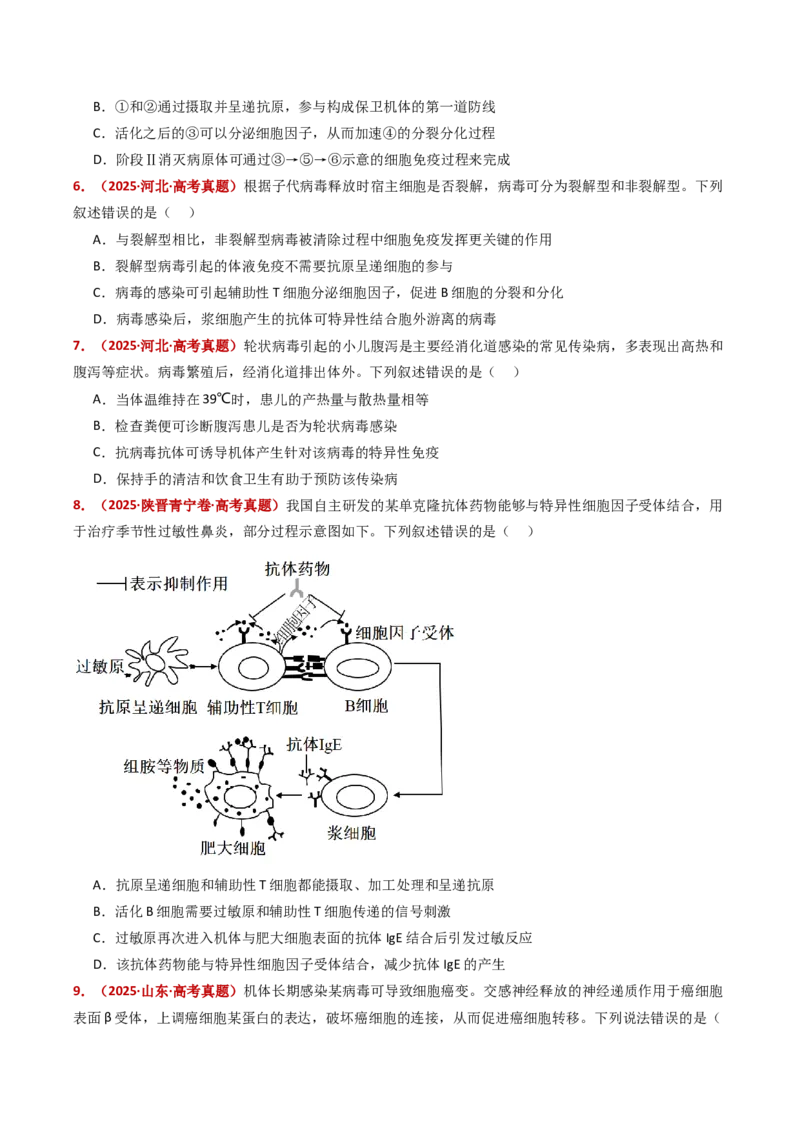 五年（2021-2025）全国高考生物真题分类汇编专题16免疫调节（全国通用）（原卷版）_高考真题分类汇编_高考生物真题分类汇编（全国通用）五年（2021-2025）