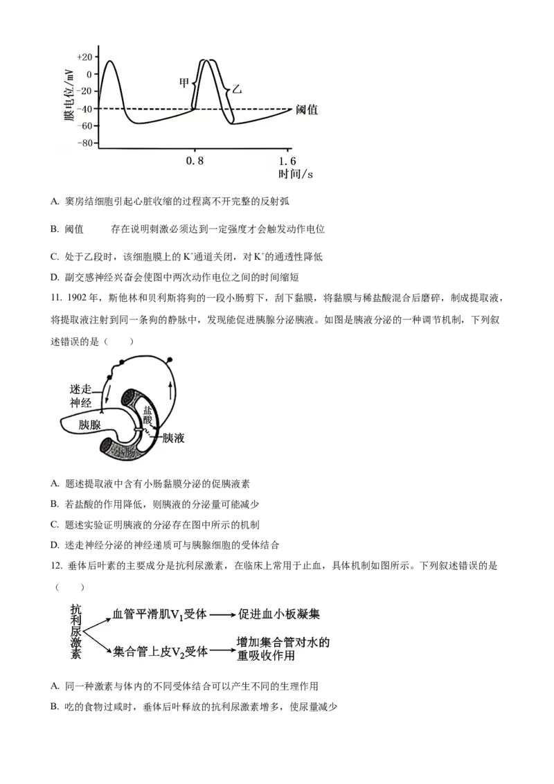 安徽省亳州市2024-2025学年高二上学期期末生物试卷Word版无答案_2025年03月试卷_0312安徽省亳州市2024-2025学年高二上学期期末考试