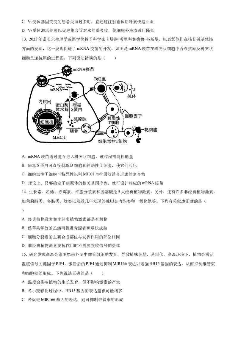 安徽省亳州市2024-2025学年高二上学期期末生物试卷Word版无答案_2025年03月试卷_0312安徽省亳州市2024-2025学年高二上学期期末考试