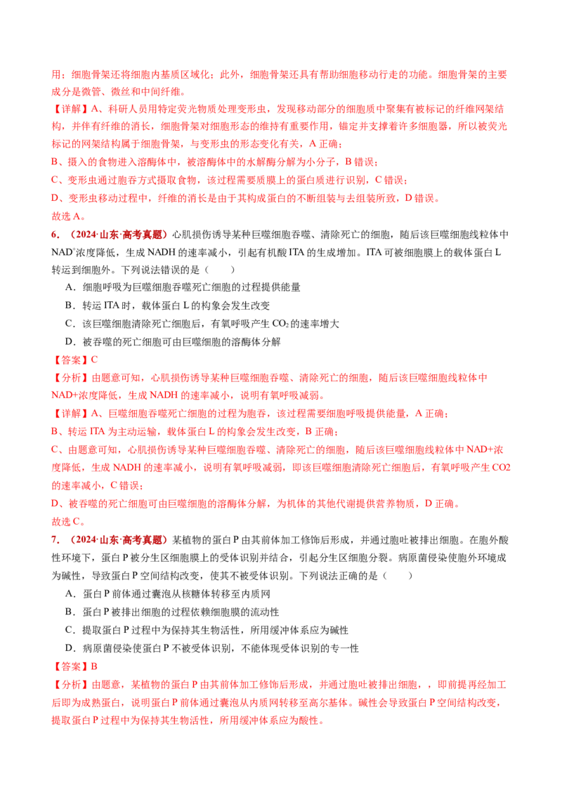 五年（2021-2025）全国高考生物真题分类汇编专题03物质的跨膜运输（全国通用）（解析版）_高考真题分类汇编_高考生物真题分类汇编（全国通用）五年（2021-2025）