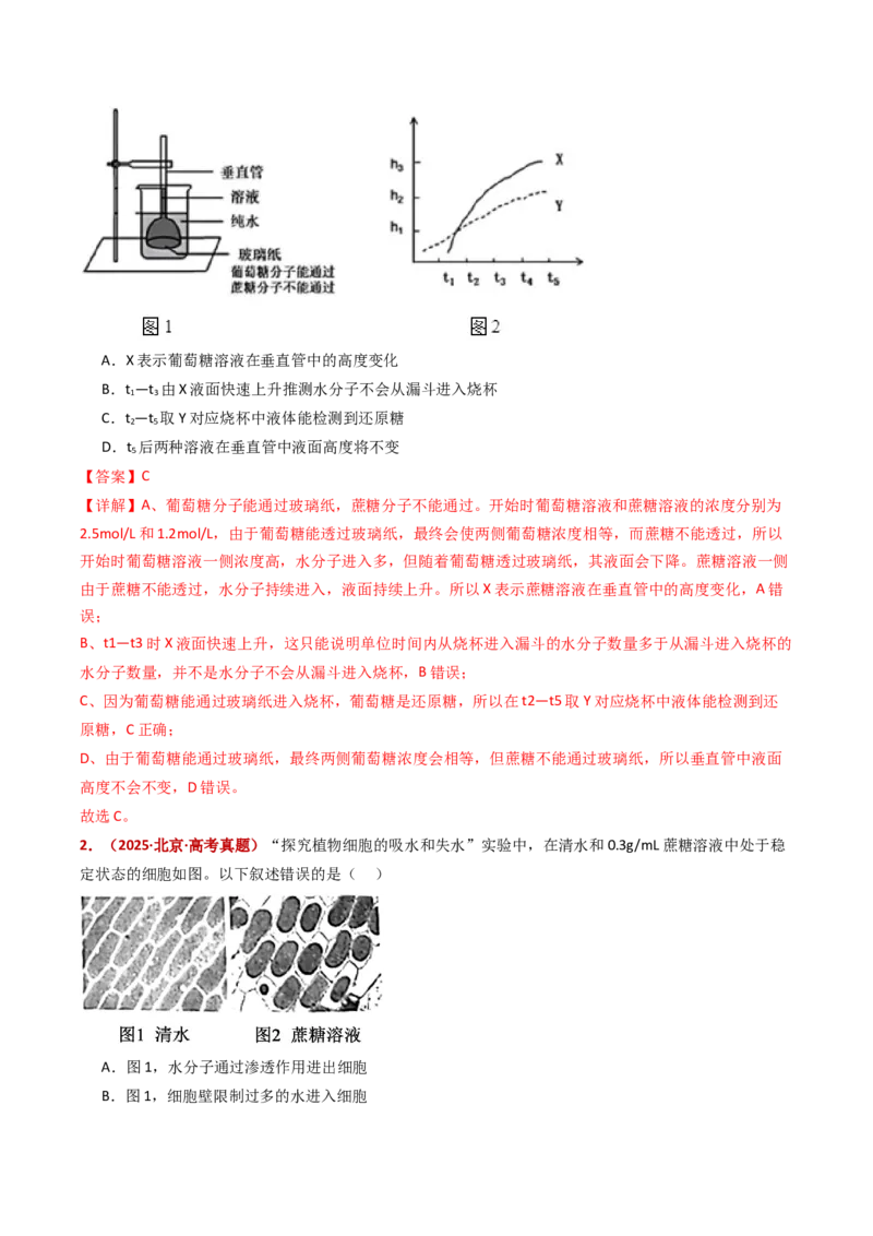 五年（2021-2025）全国高考生物真题分类汇编专题03物质的跨膜运输（全国通用）（解析版）_高考真题分类汇编_高考生物真题分类汇编（全国通用）五年（2021-2025）