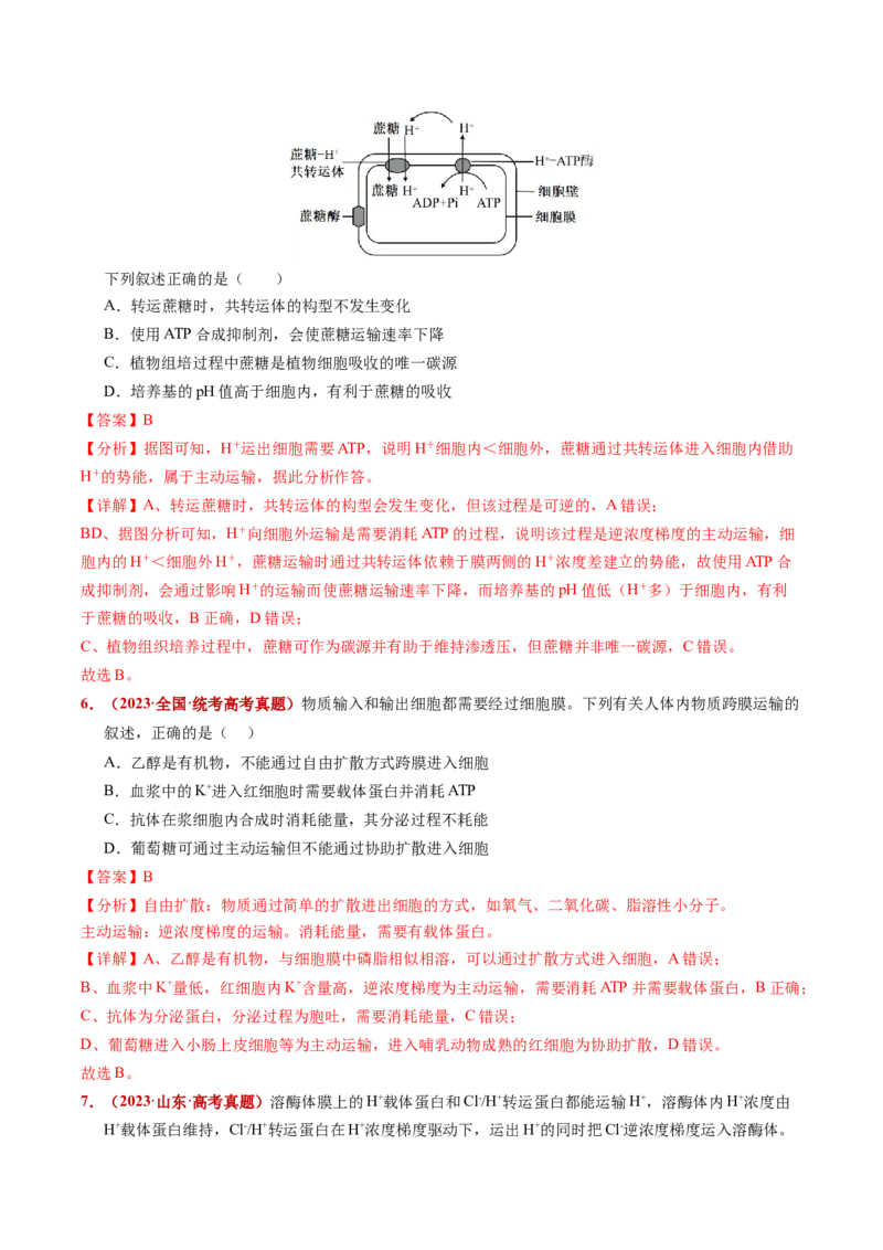 五年（2021-2025）全国高考生物真题分类汇编专题03物质的跨膜运输（全国通用）（解析版）_高考真题分类汇编_高考生物真题分类汇编（全国通用）五年（2021-2025）