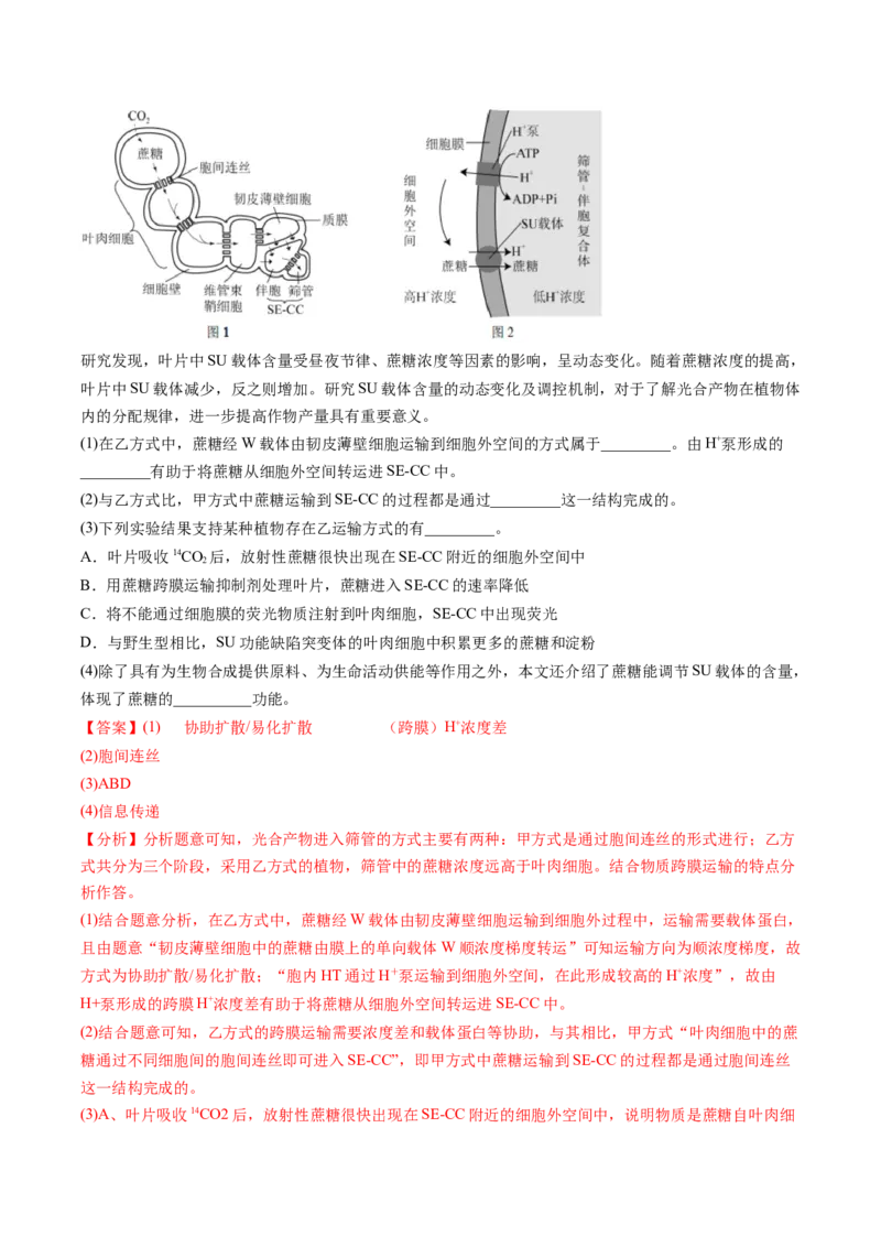 五年（2021-2025）全国高考生物真题分类汇编专题03物质的跨膜运输（全国通用）（解析版）_高考真题分类汇编_高考生物真题分类汇编（全国通用）五年（2021-2025）