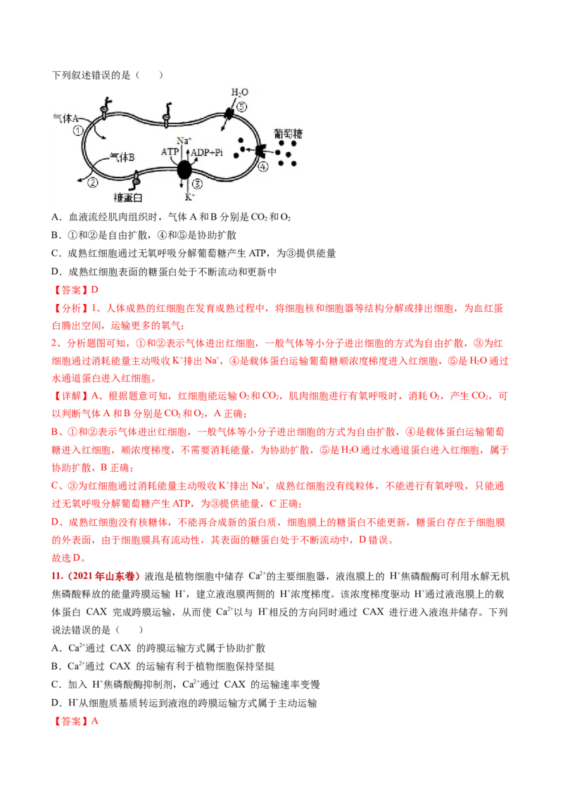 五年（2021-2025）全国高考生物真题分类汇编专题03物质的跨膜运输（全国通用）（解析版）_高考真题分类汇编_高考生物真题分类汇编（全国通用）五年（2021-2025）