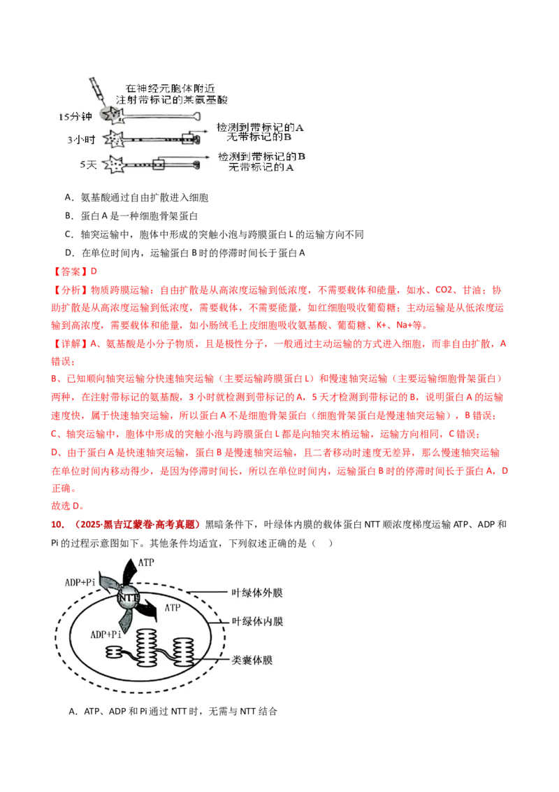 五年（2021-2025）全国高考生物真题分类汇编专题03物质的跨膜运输（全国通用）（解析版）_高考真题分类汇编_高考生物真题分类汇编（全国通用）五年（2021-2025）