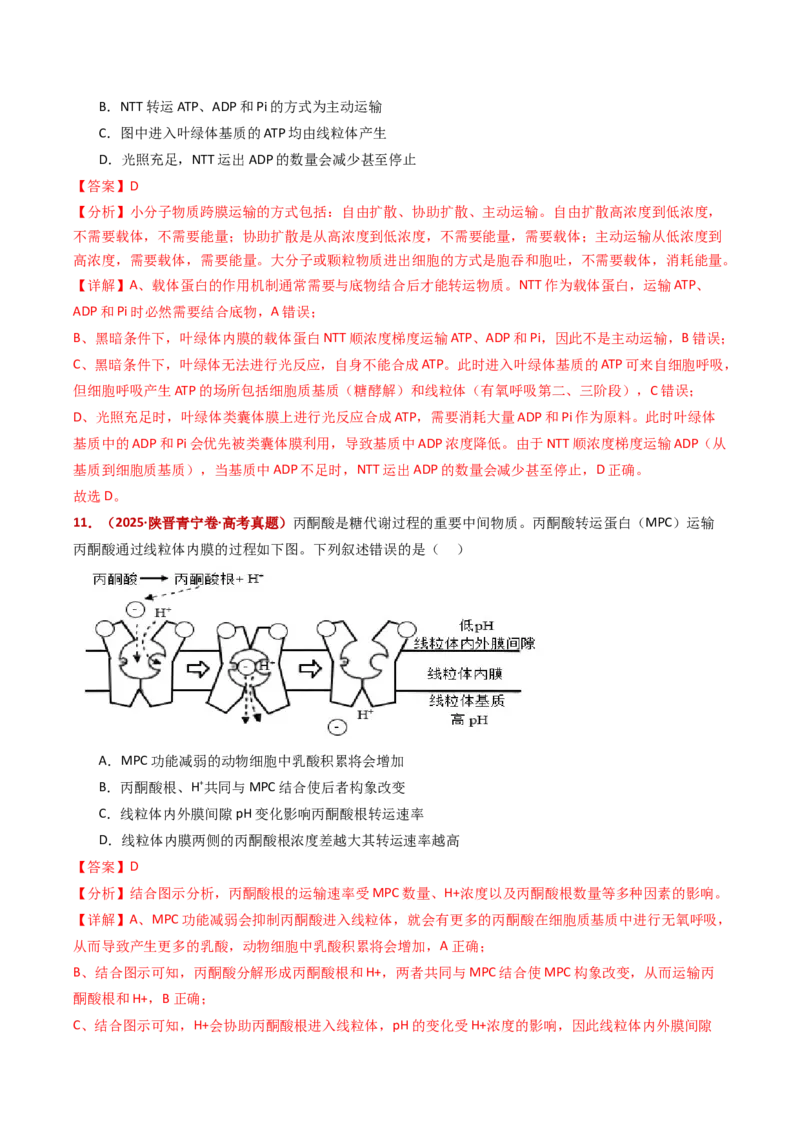 五年（2021-2025）全国高考生物真题分类汇编专题03物质的跨膜运输（全国通用）（解析版）_高考真题分类汇编_高考生物真题分类汇编（全国通用）五年（2021-2025）