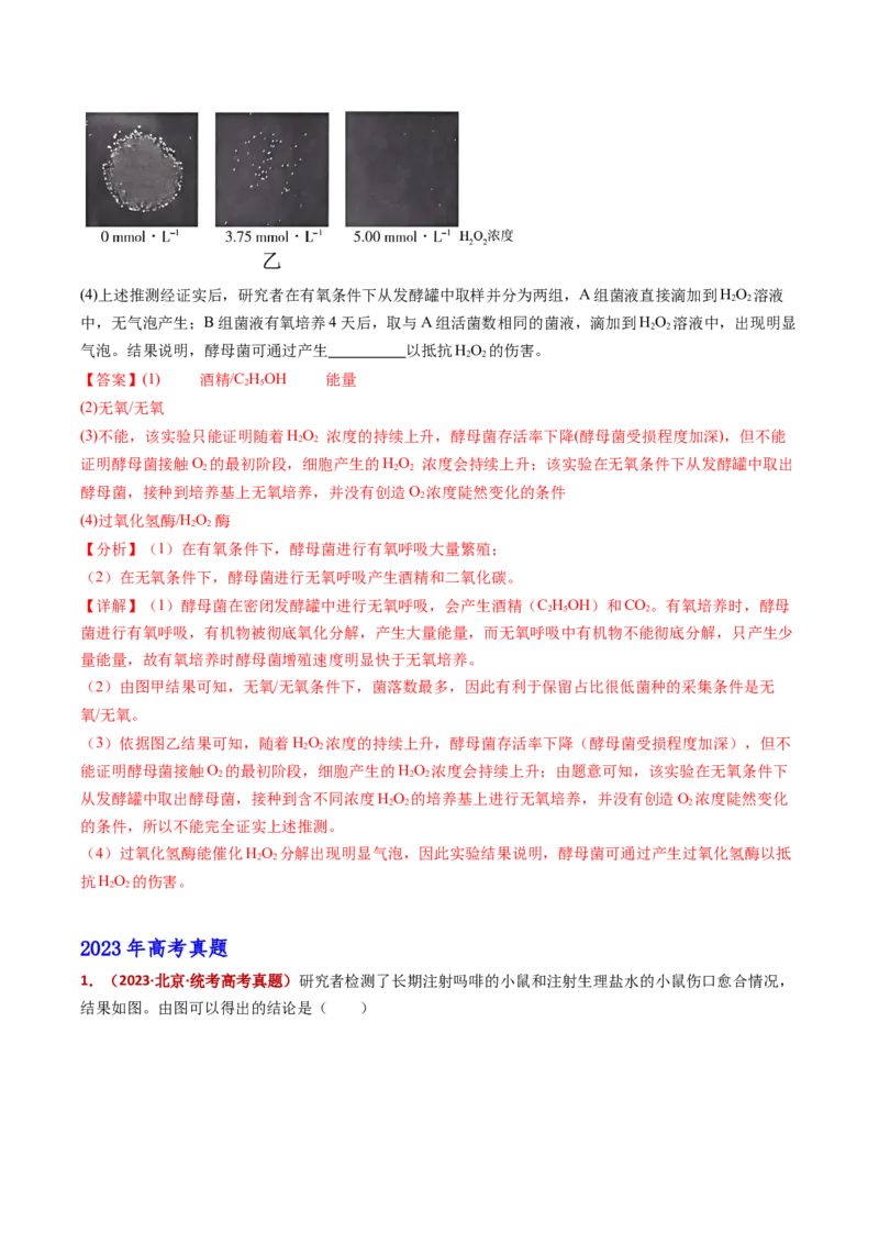 五年（2021-2025）全国高考生物真题分类汇编专题23实验与探究（全国通用）（解析版）_高考真题分类汇编_高考生物真题分类汇编（全国通用）五年（2021-2025）