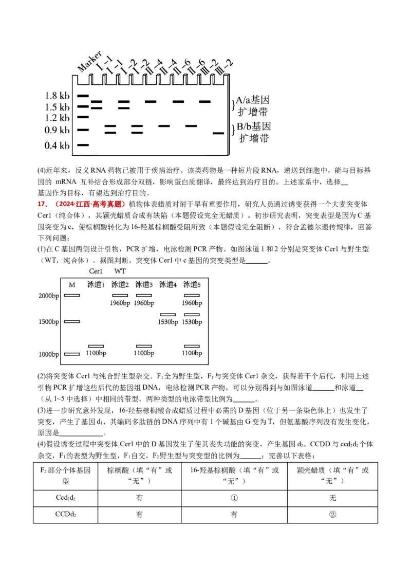 五年（2021-2025）全国高考生物真题分类汇编专题12变异、育种与进化（全国通用）（原卷版）_高考真题分类汇编_高考生物真题分类汇编（全国通用）五年（2021-2025）