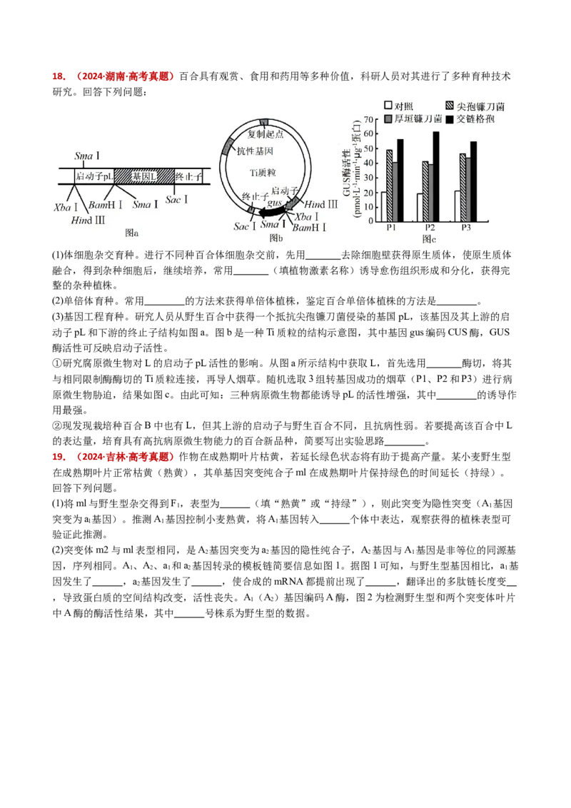 五年（2021-2025）全国高考生物真题分类汇编专题12变异、育种与进化（全国通用）（原卷版）_高考真题分类汇编_高考生物真题分类汇编（全国通用）五年（2021-2025）