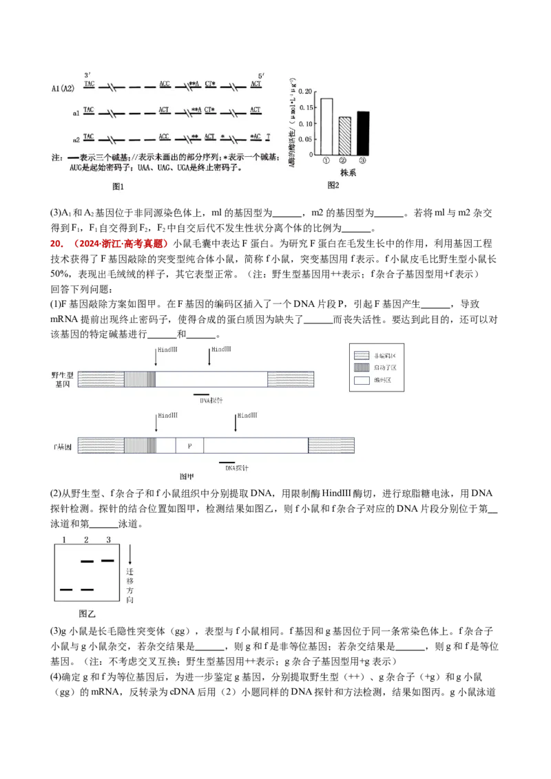 五年（2021-2025）全国高考生物真题分类汇编专题12变异、育种与进化（全国通用）（原卷版）_高考真题分类汇编_高考生物真题分类汇编（全国通用）五年（2021-2025）