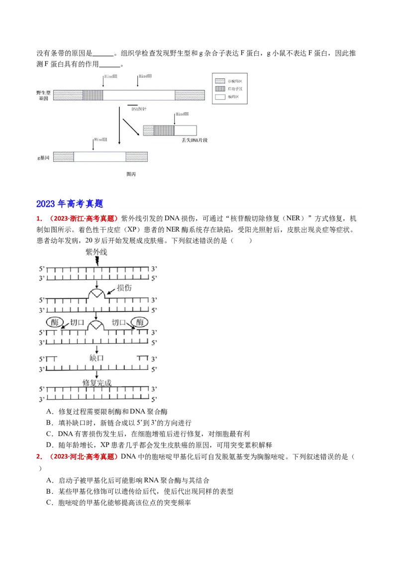 五年（2021-2025）全国高考生物真题分类汇编专题12变异、育种与进化（全国通用）（原卷版）_高考真题分类汇编_高考生物真题分类汇编（全国通用）五年（2021-2025）