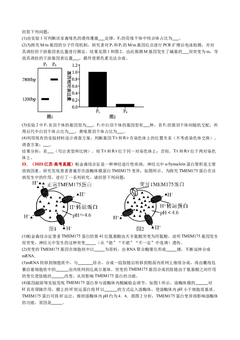 五年（2021-2025）全国高考生物真题分类汇编专题12变异、育种与进化（全国通用）（原卷版）_高考真题分类汇编_高考生物真题分类汇编（全国通用）五年（2021-2025）