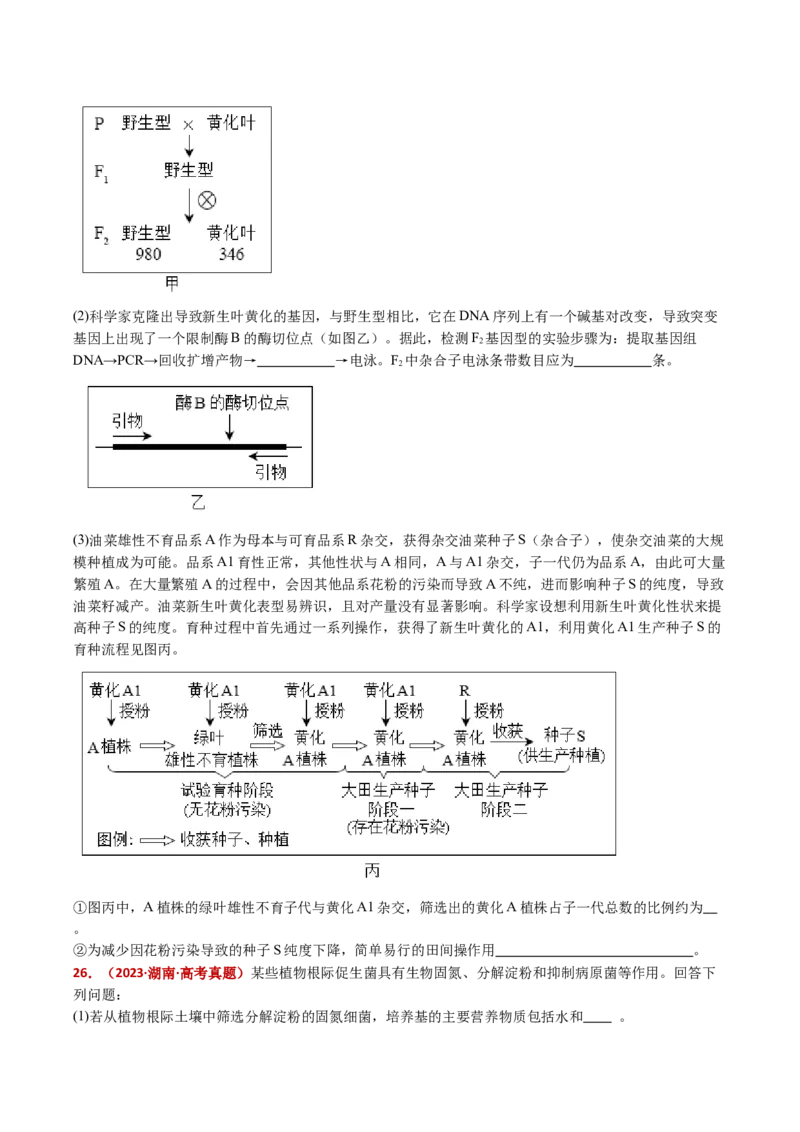 五年（2021-2025）全国高考生物真题分类汇编专题12变异、育种与进化（全国通用）（原卷版）_高考真题分类汇编_高考生物真题分类汇编（全国通用）五年（2021-2025）