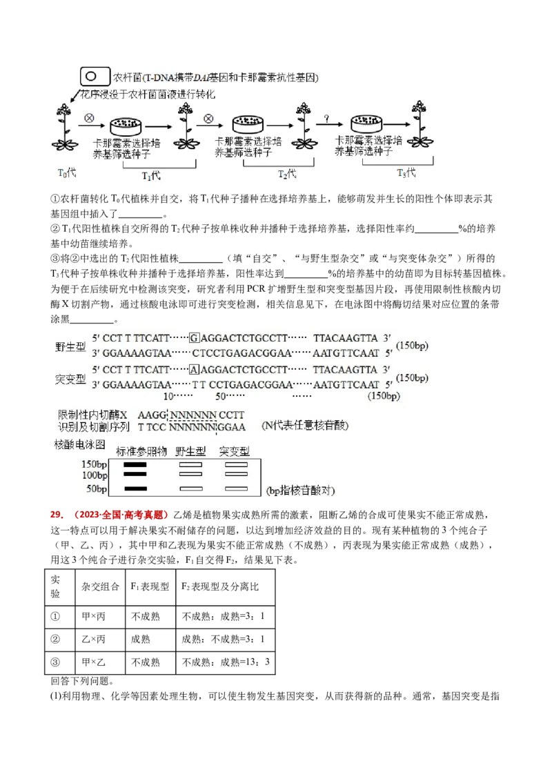 五年（2021-2025）全国高考生物真题分类汇编专题12变异、育种与进化（全国通用）（原卷版）_高考真题分类汇编_高考生物真题分类汇编（全国通用）五年（2021-2025）