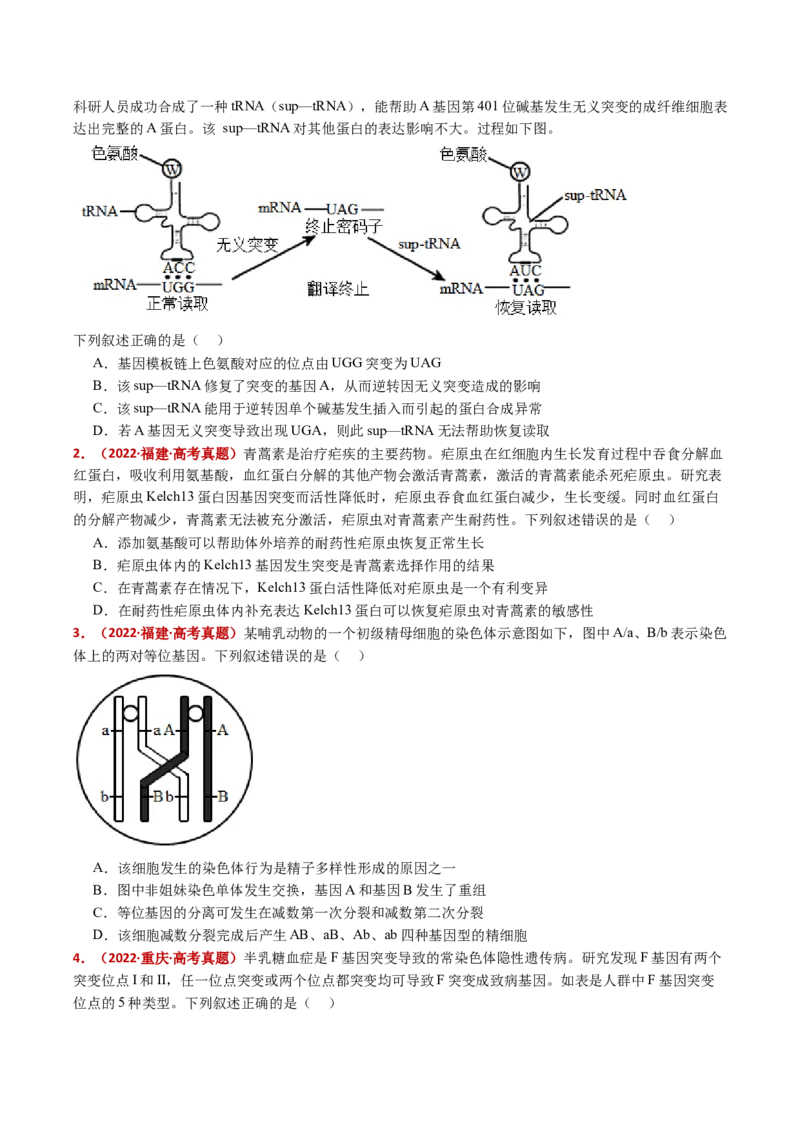 五年（2021-2025）全国高考生物真题分类汇编专题12变异、育种与进化（全国通用）（原卷版）_高考真题分类汇编_高考生物真题分类汇编（全国通用）五年（2021-2025）