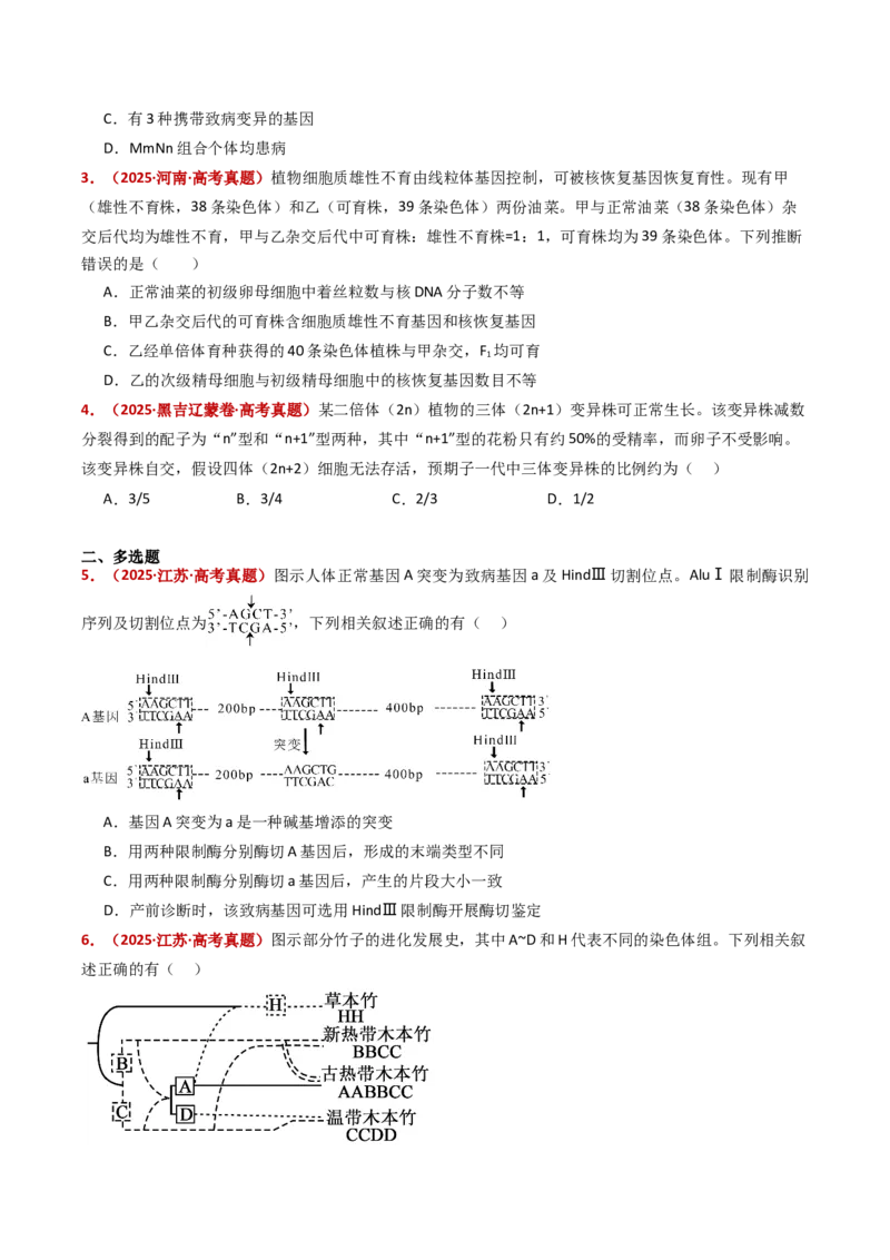 五年（2021-2025）全国高考生物真题分类汇编专题12变异、育种与进化（全国通用）（原卷版）_高考真题分类汇编_高考生物真题分类汇编（全国通用）五年（2021-2025）